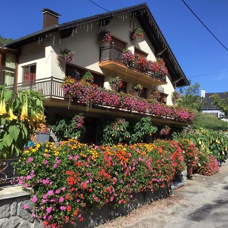 Chambres D'Hotes Les Cigognes Metzeral Exterior foto