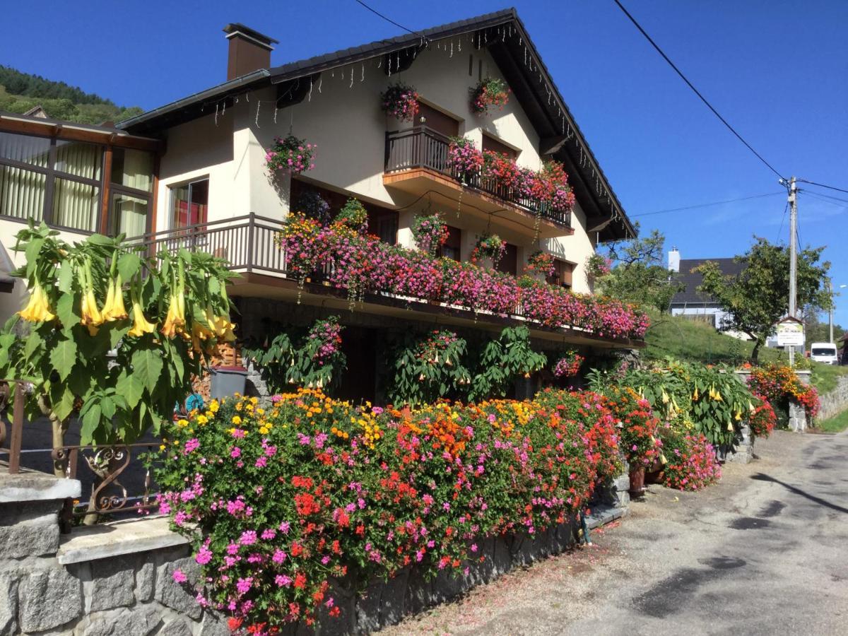 Chambres D'Hotes Les Cigognes Metzeral Exterior foto