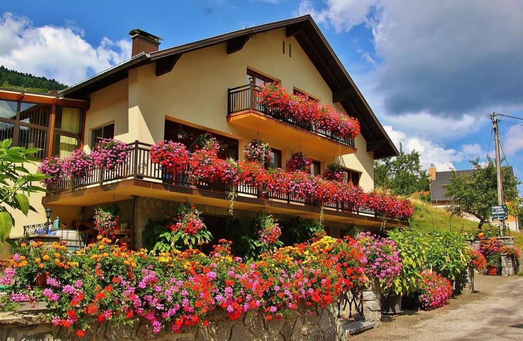 Chambres D'Hotes Les Cigognes Metzeral Exterior foto