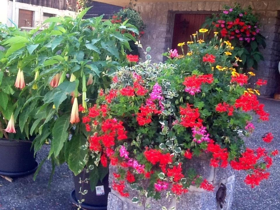 Chambres D'Hotes Les Cigognes Metzeral Exterior foto